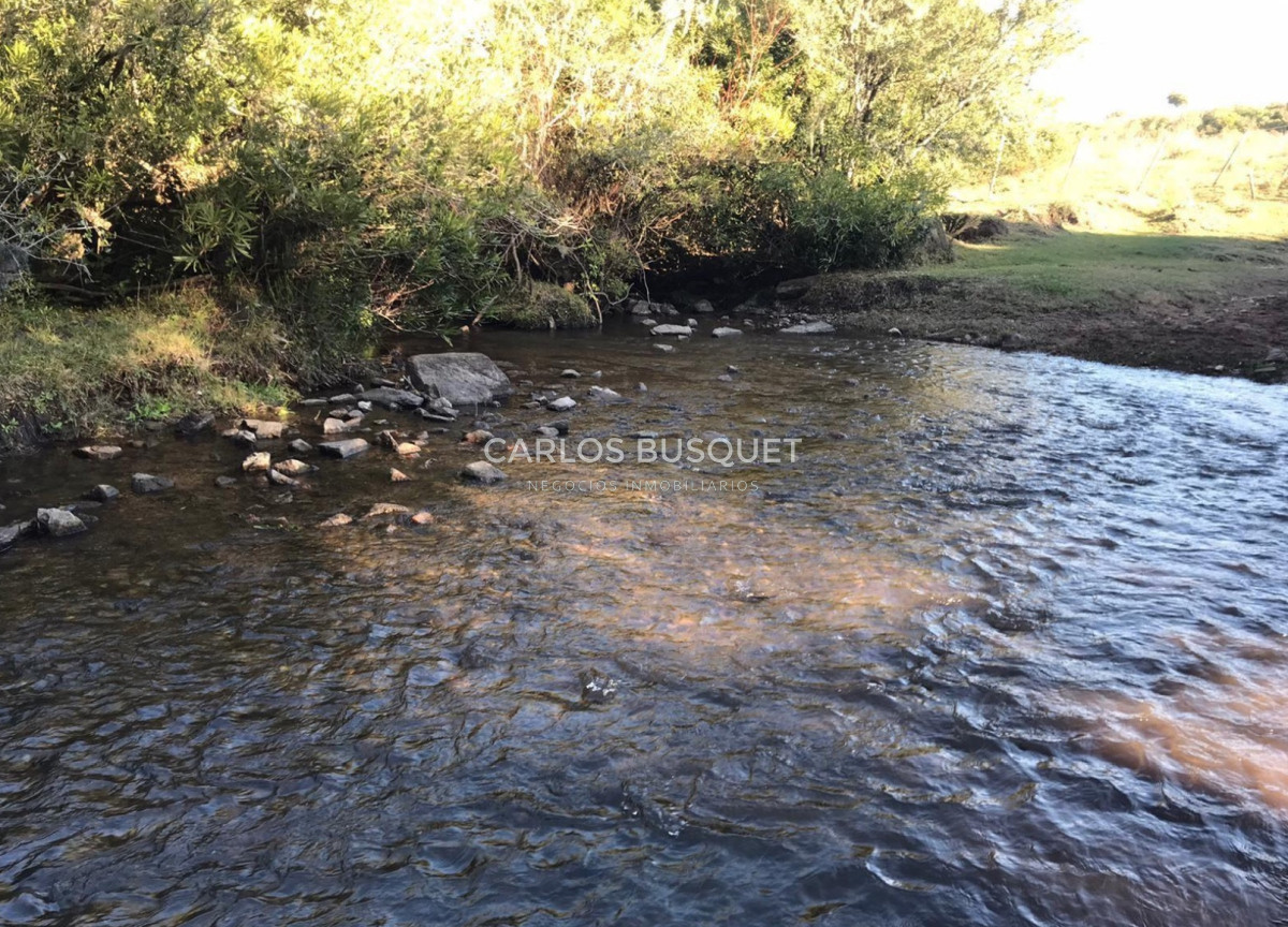 Campo Ref.314 - Campo en venta de 2145 has. en Treinta y Tres - Aptitud forestal- ganadero 