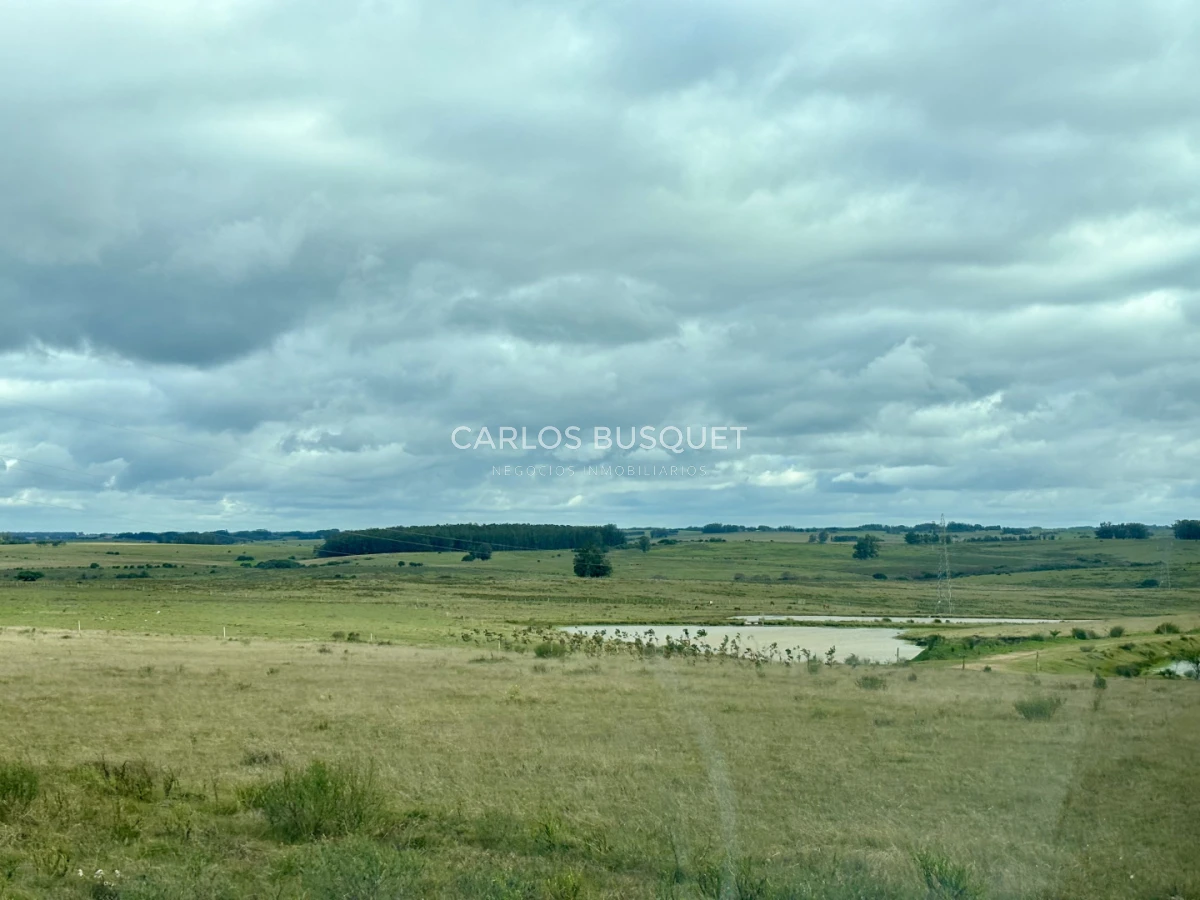 Campo Ref.1726 - Chacra de 30 has. en venta en José Ignacio - Ruta 9 