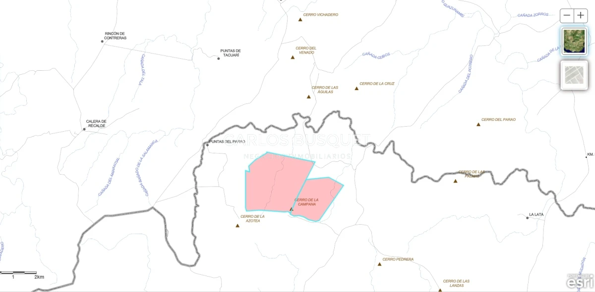 Campo Ref.310 - Campo en venta de 811 has. en Treinta y Tres- Aptitud ganadero forestal 