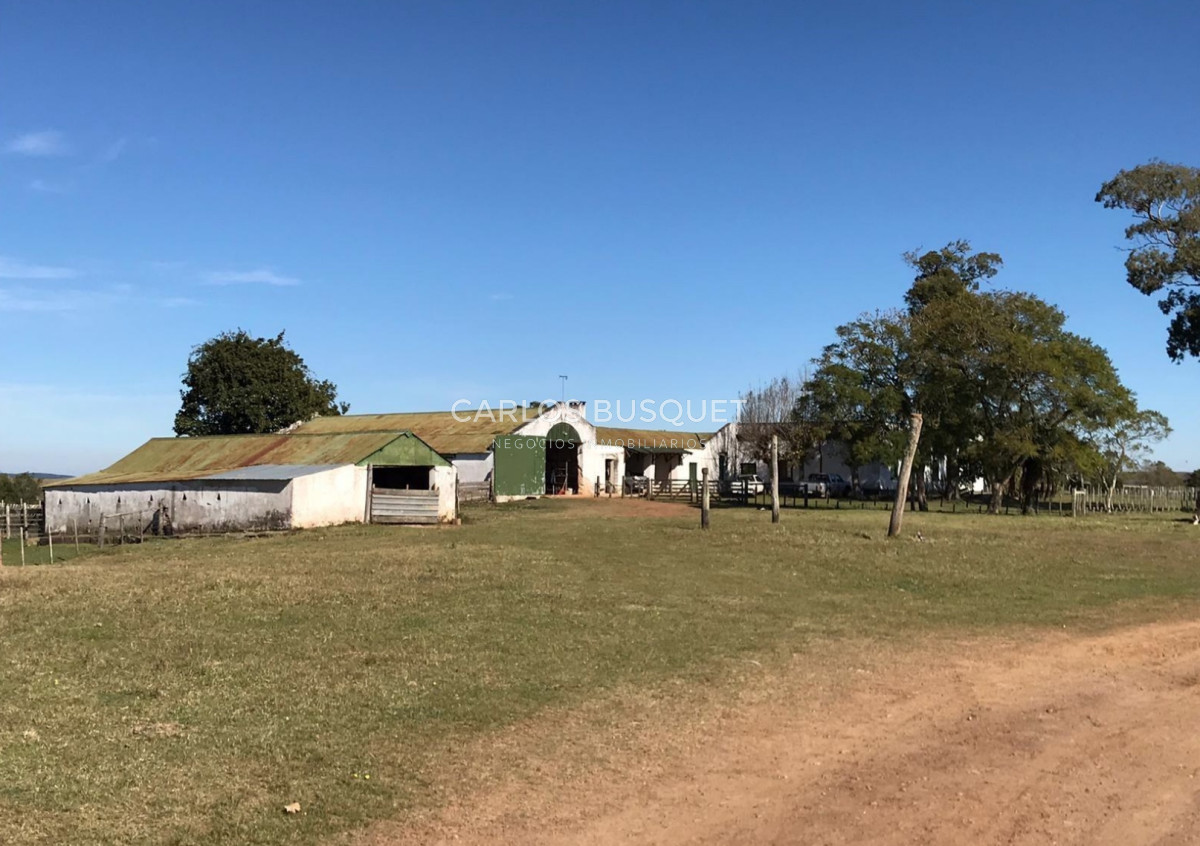 Campo Ref.314 - Campo en venta de 2145 has. en Treinta y Tres - Aptitud forestal- ganadero 