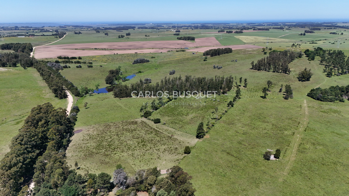 Campo Ref.311 - Campo en venta de 102 Hectáreas zona Ruta 104 