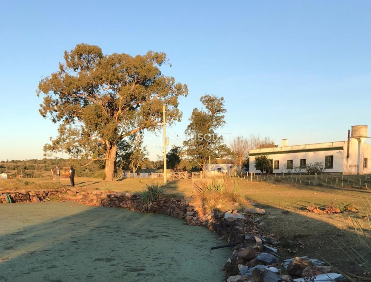 Campo Ref.314 - Campo en venta de 2145 has. en Treinta y Tres - Aptitud forestal- ganadero 