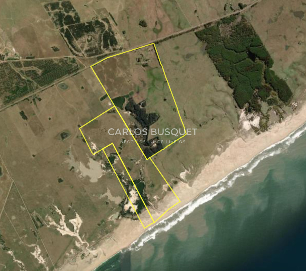 Campo Ref.1207 - CAMPO EN VENTA DE 232 HECTAREAS CON COSTA DE MAR EN ROCHA