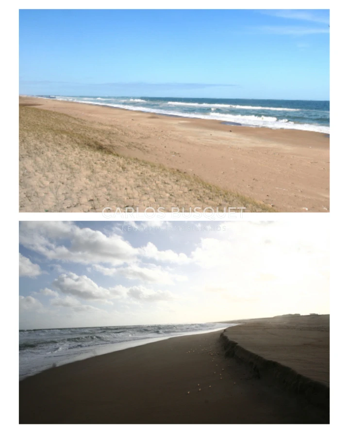 Campo Ref.1207 - CAMPO EN VENTA DE 232 HECTAREAS CON COSTA DE MAR EN ROCHA