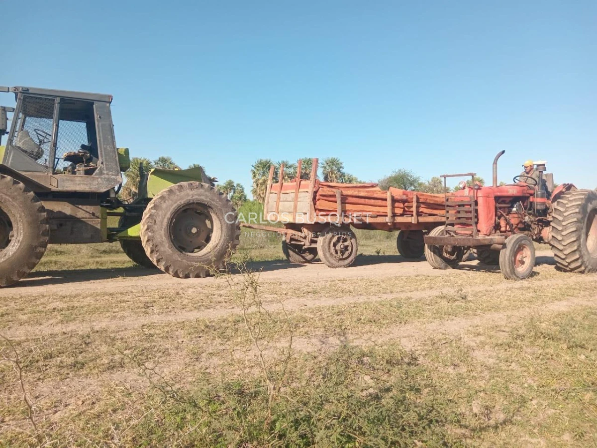 Campo Ref.1705 - Campo ganadero de 5.250 hectáreas en venta en Formosa