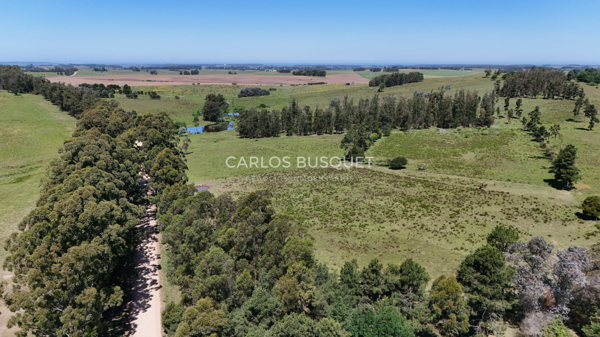 Campo Ref.311 - Campo en venta de 102 Hectáreas zona Ruta 104 