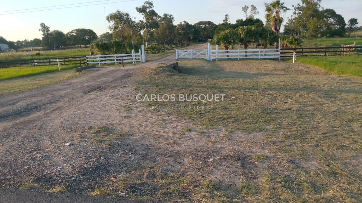 Campo Ref.1704 - Campo ganadero de 1.500 has. en venta en Formosa