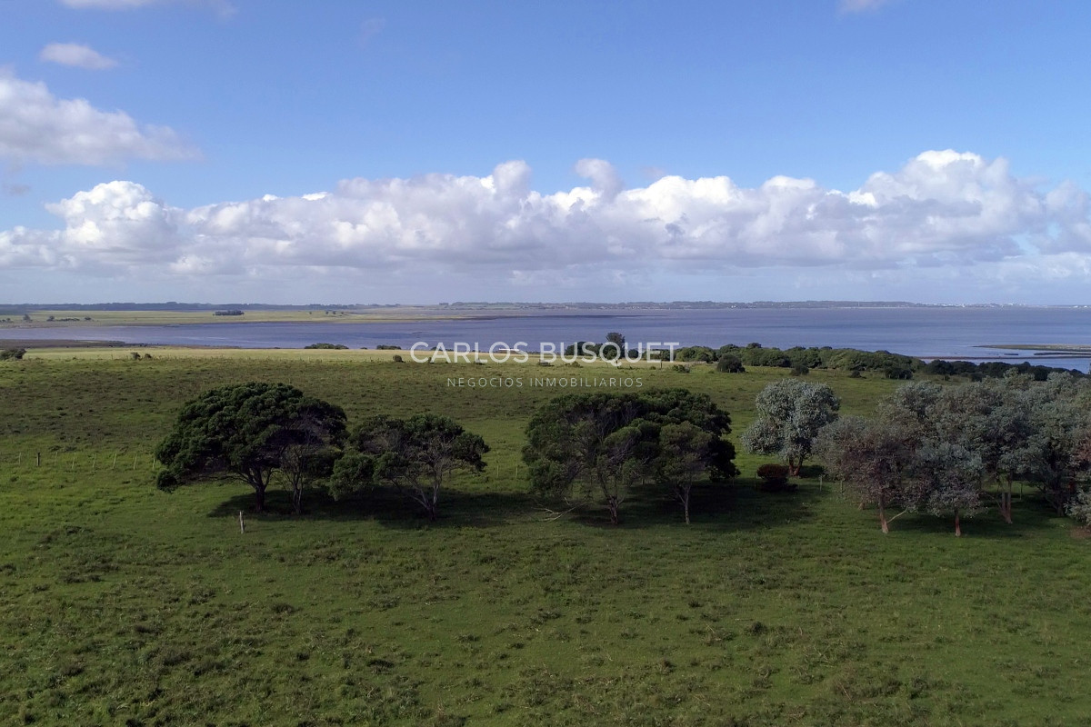 Campo Ref.542 - Campo de 189 has. en venta con costa de arroyo y Laguna de Jose Ignacio 