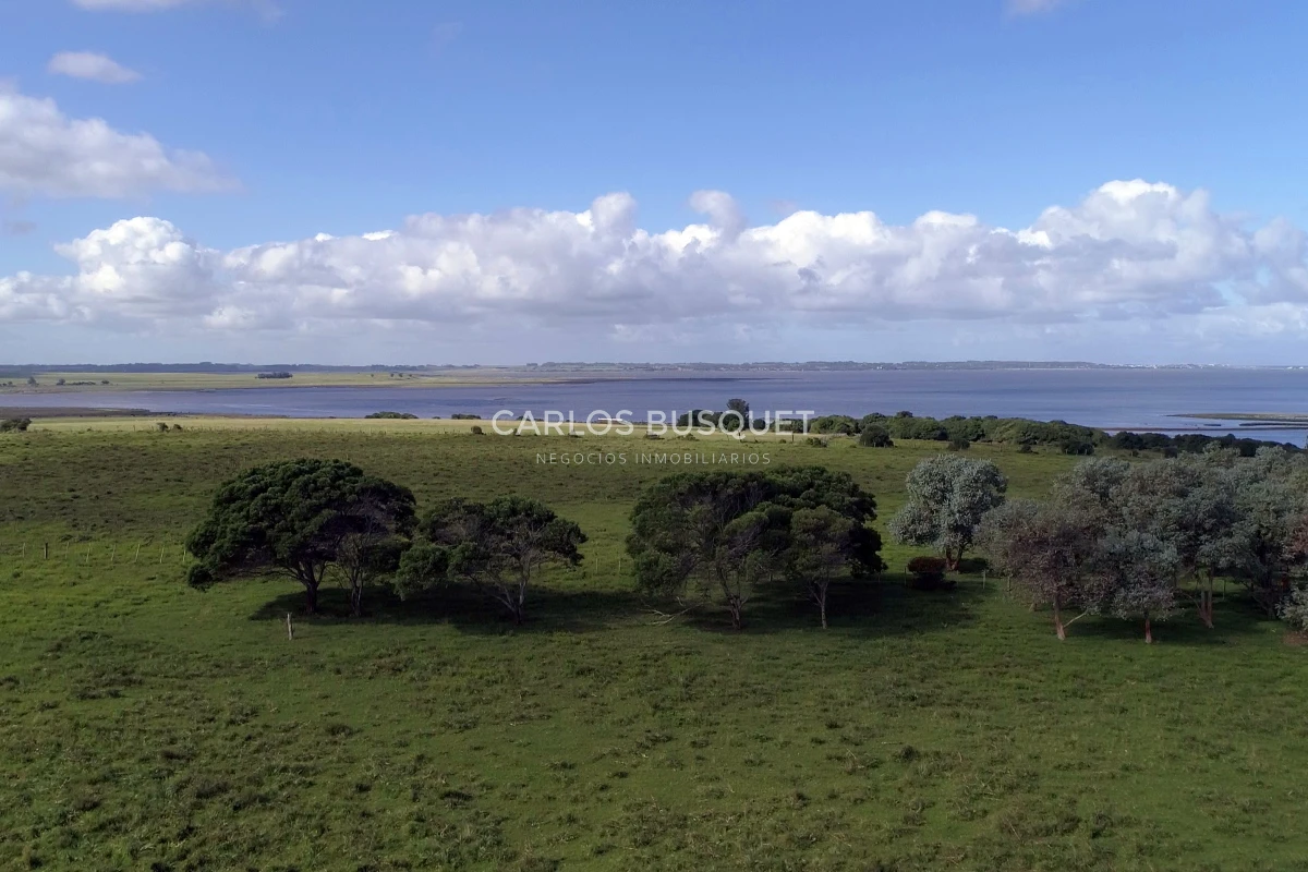 Campo Ref.542 - Campo de 180 has. en venta con costa de arroyo y Laguna de Jose Ignacio 