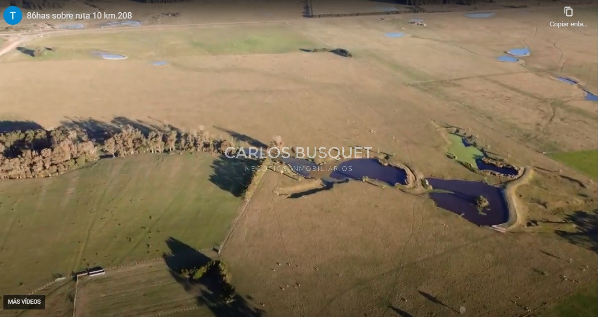 Campo Ref.59 - Campo de 86,5 hectáreas en Rocha