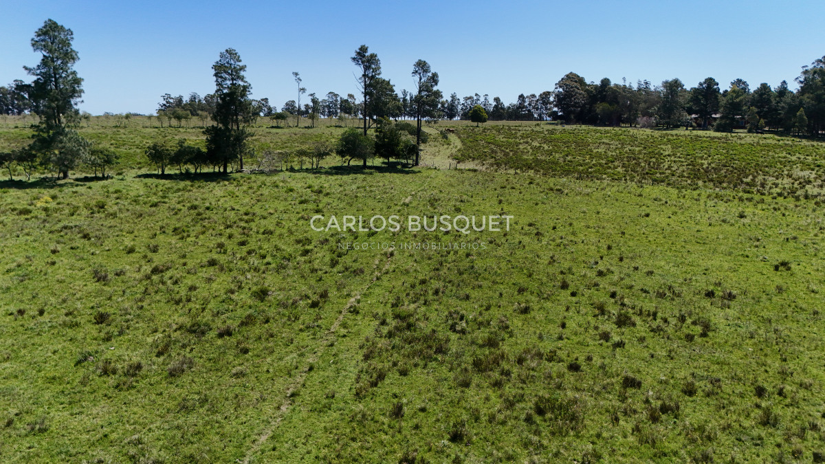 Campo Ref.311 - Campo en venta de 102 Hectáreas zona Ruta 104 