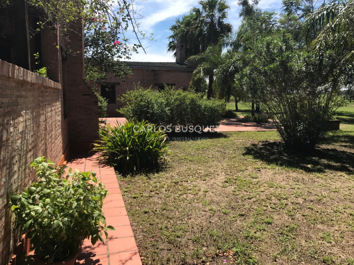 Campo Ref.1704 - Campo ganadero de 1.500 has. en venta en Formosa