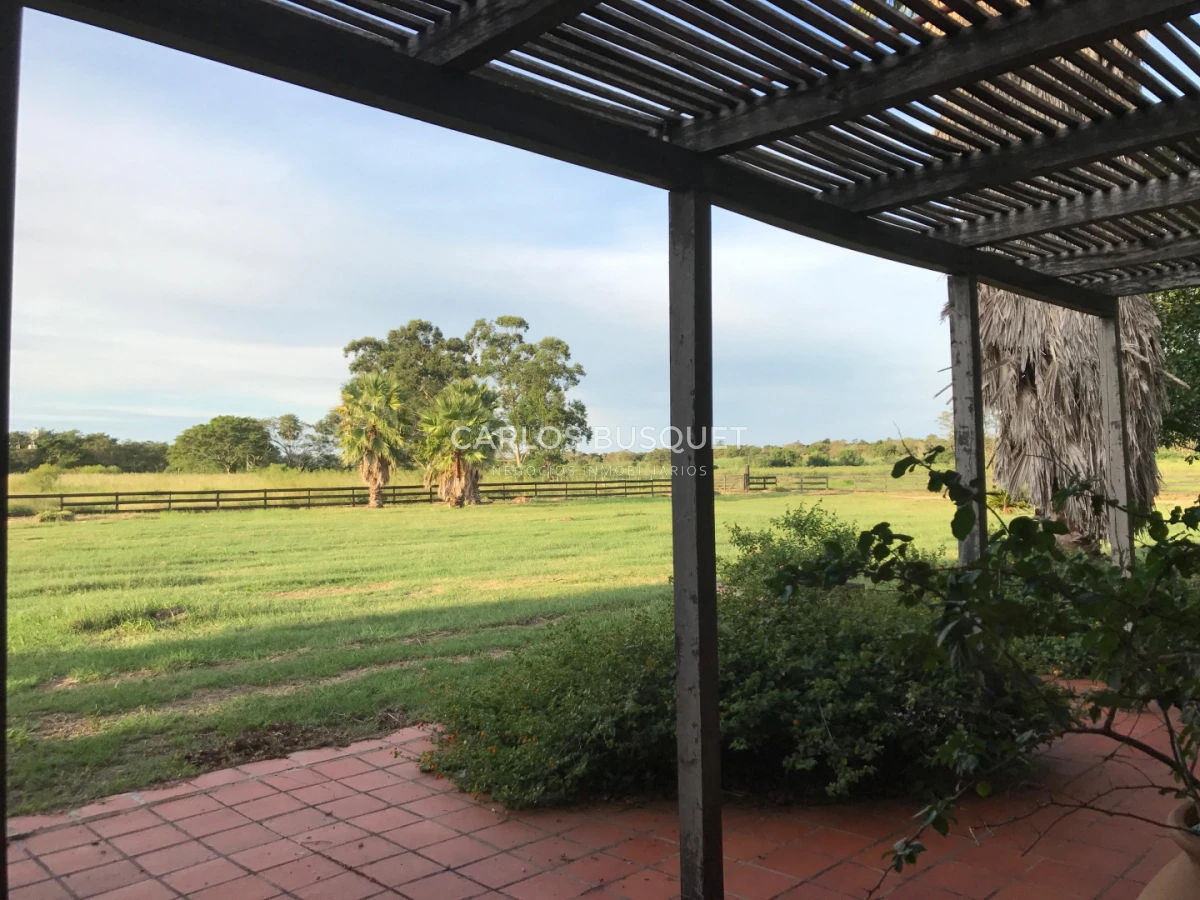 Campo Ref.1704 - Campo ganadero de 1.500 has. en venta en Formosa