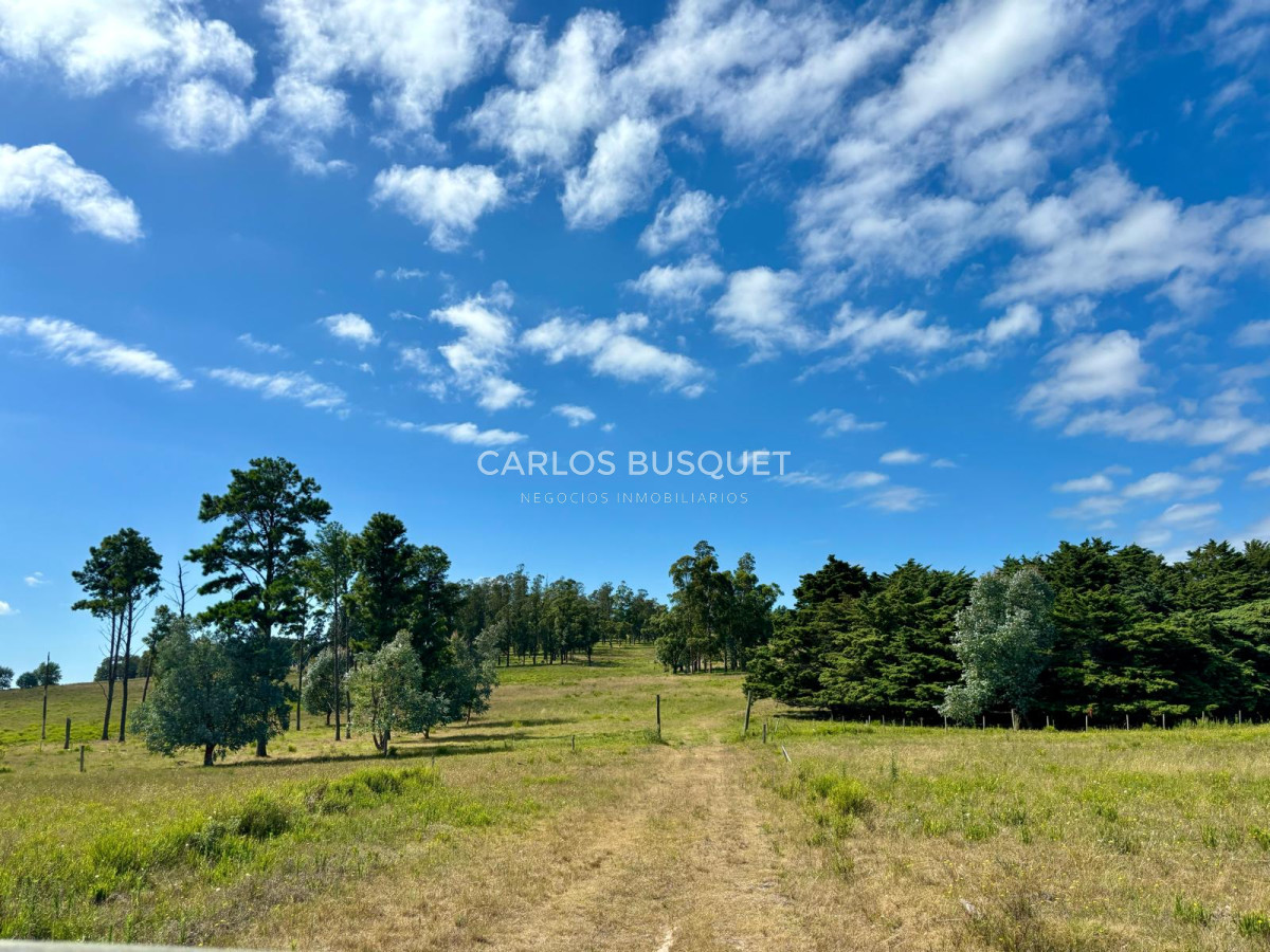 Campo Ref.311 - Campo en venta de 102 Hectáreas zona Ruta 104 