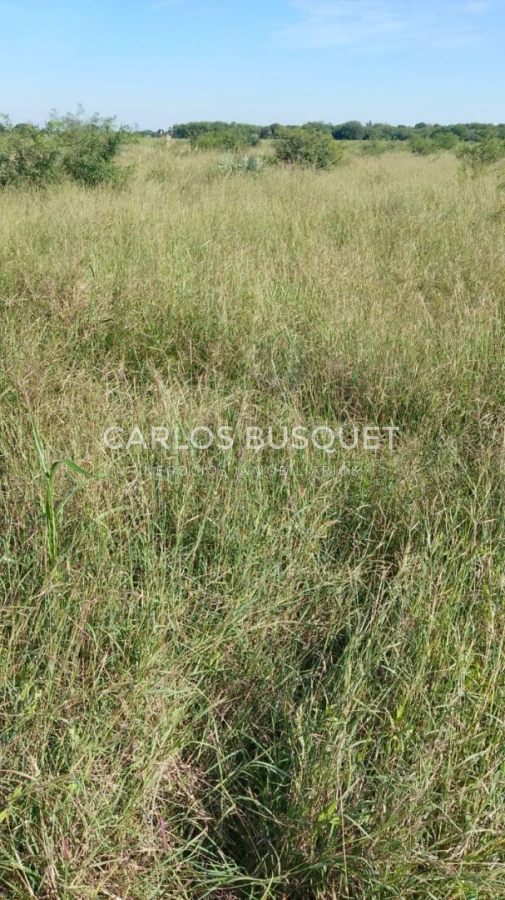 Campo Ref.1698 - Campo en venta de 1,420 hectáreas en Formosa