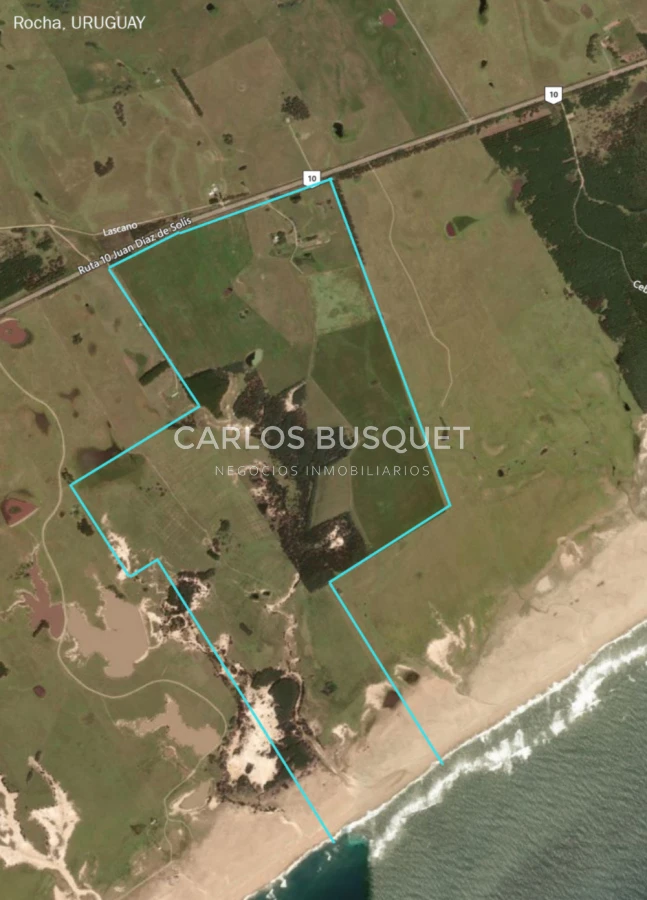 Campo Ref.1207 - CAMPO EN VENTA DE 232 HECTAREAS CON COSTA DE MAR EN ROCHA