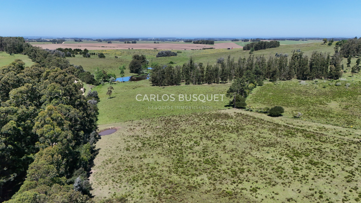 Campo Ref.311 - Campo en venta de 102 Hectáreas zona Ruta 104 