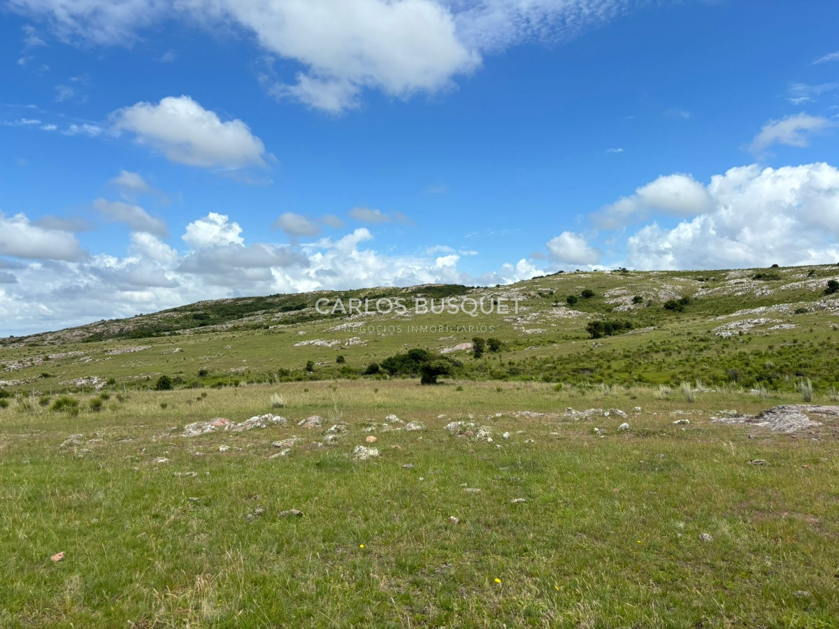 Campo Ref.451 - Campo en venta de 371 has. en Pan de Azúcar 