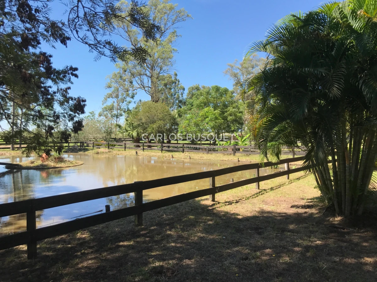 Campo Ref.1704 - Campo ganadero de 1.500 has. en venta en Formosa