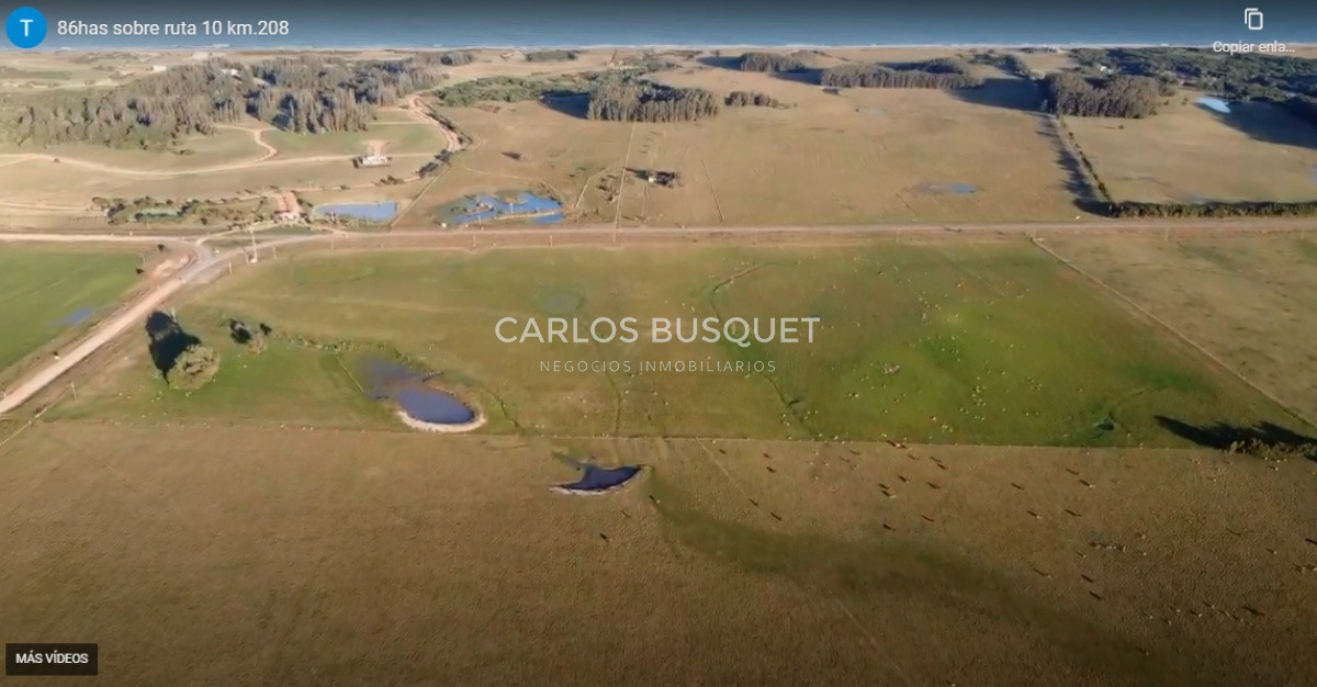 Campo Ref.59 - Campo de 86,5 hectáreas en Rocha