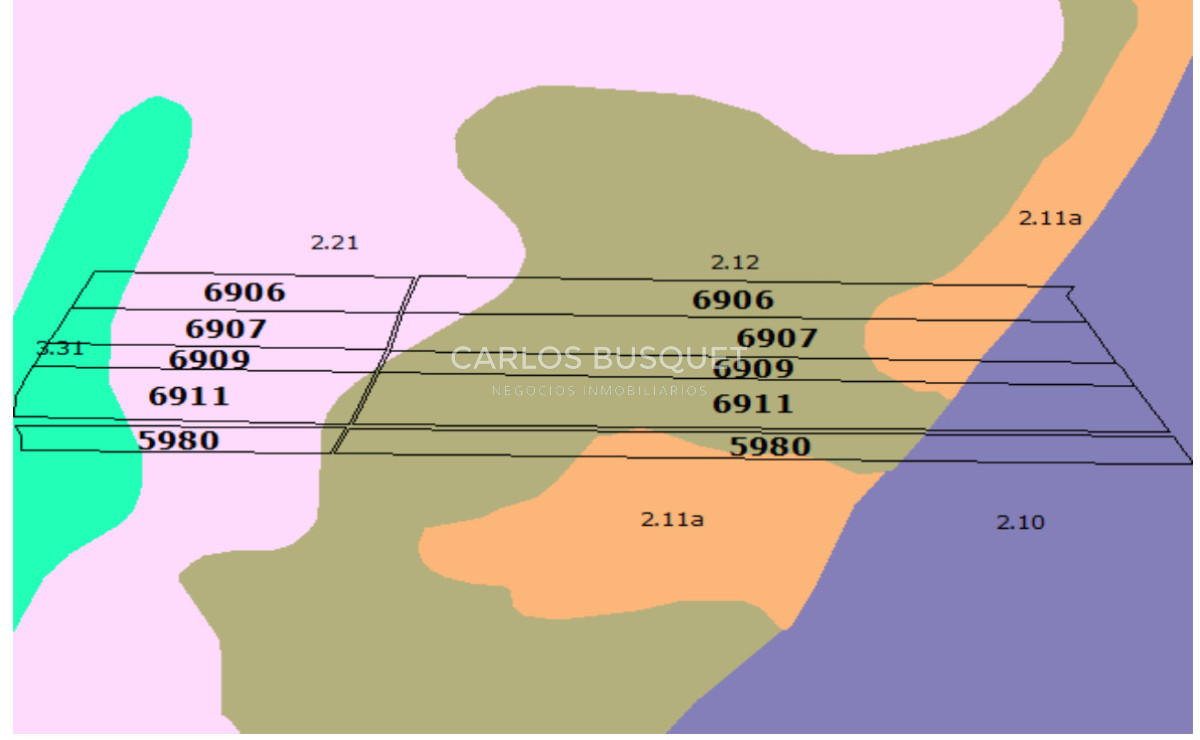 Campo Ref.1131 - Campo en venta 183 has. en Ruta 39