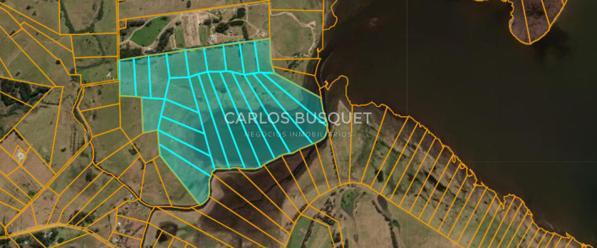 Campo Ref.542 - Campo de 189 has. en venta con costa de arroyo y Laguna de Jose Ignacio 
