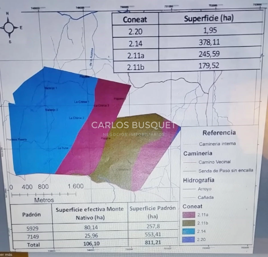 Campo Ref.310 - Campo en venta de 811 has. en Treinta y Tres- Aptitud ganadero forestal 
