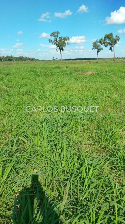 Campo Ref.1699 - Campo Ganadero de 1.400 hectáreas en Formosa, Argentina