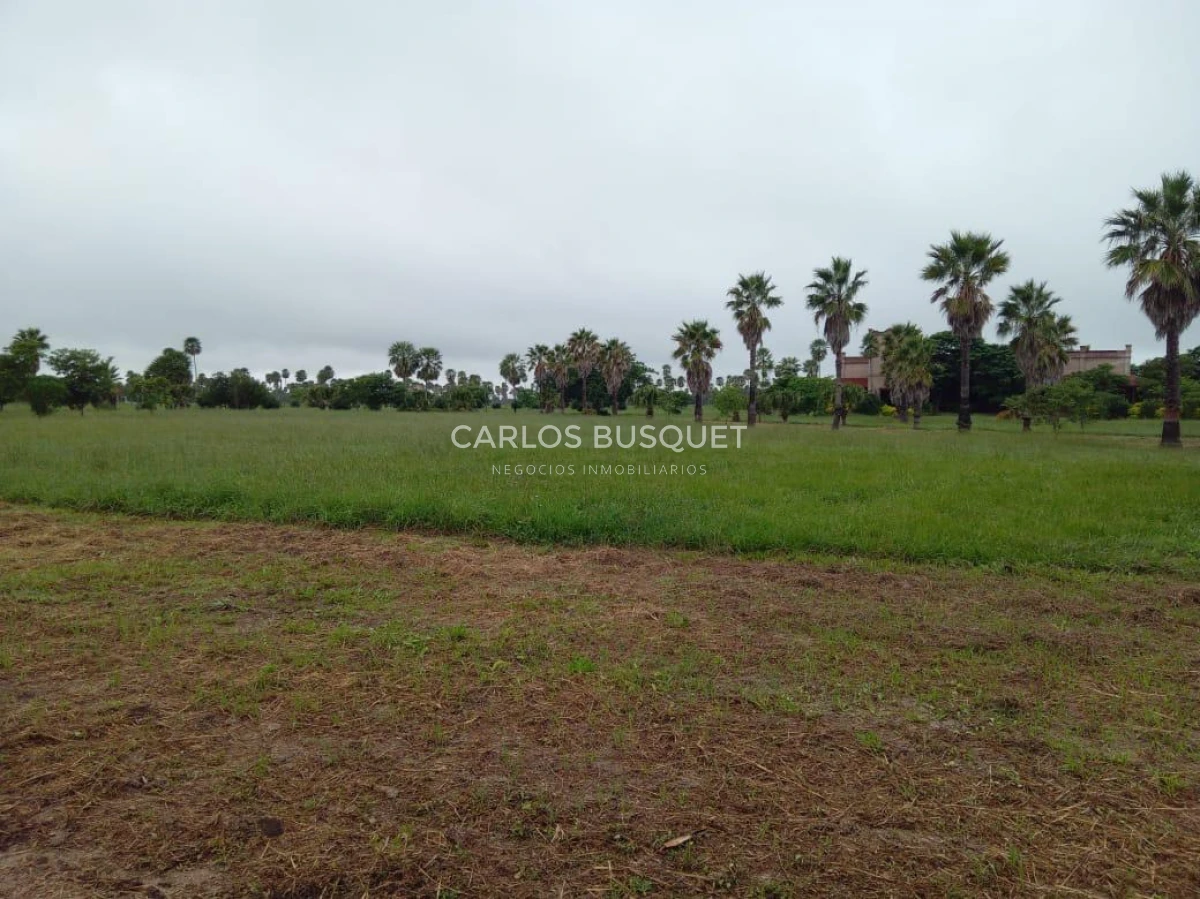 Campo Ref.1695 - Campo en venta de 20.600 has en Formosa 