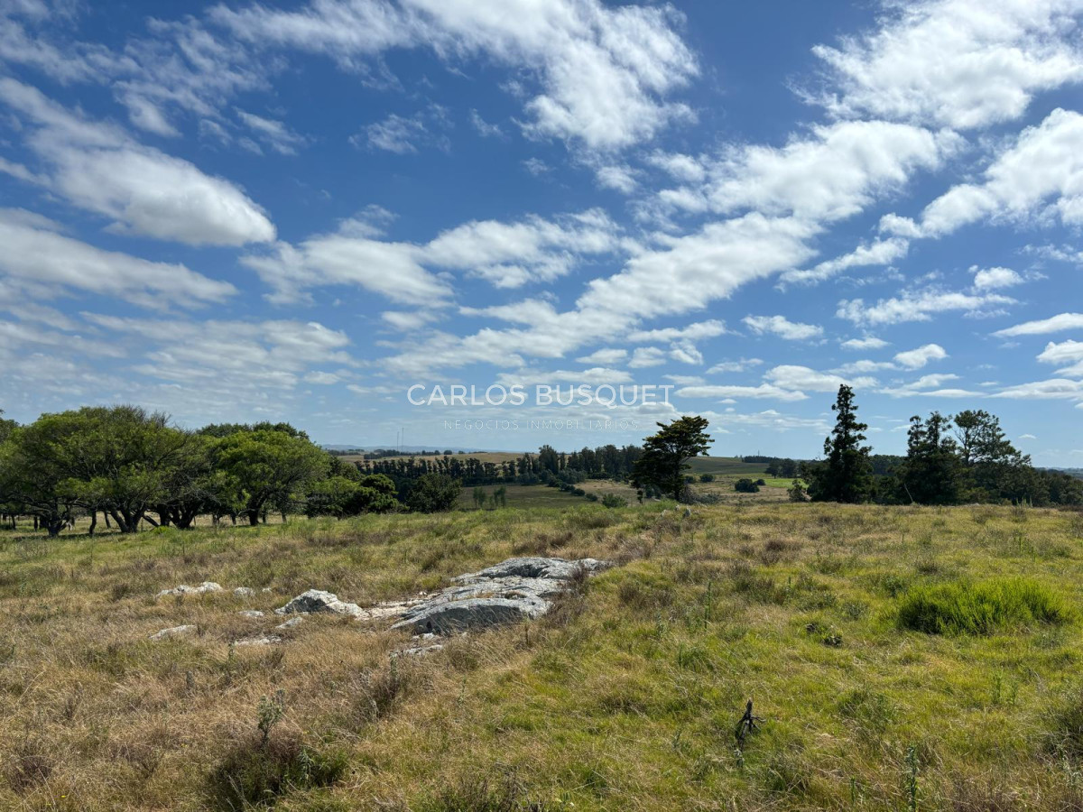 Campo Ref.311 - Campo en venta de 102 Hectáreas zona Ruta 104 