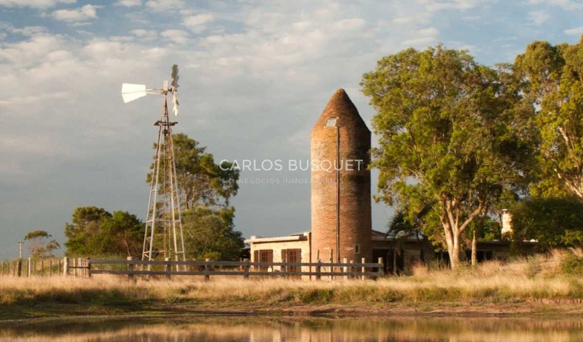 Campo Ref.1207 - CAMPO EN VENTA DE 232 HECTAREAS CON COSTA DE MAR EN ROCHA