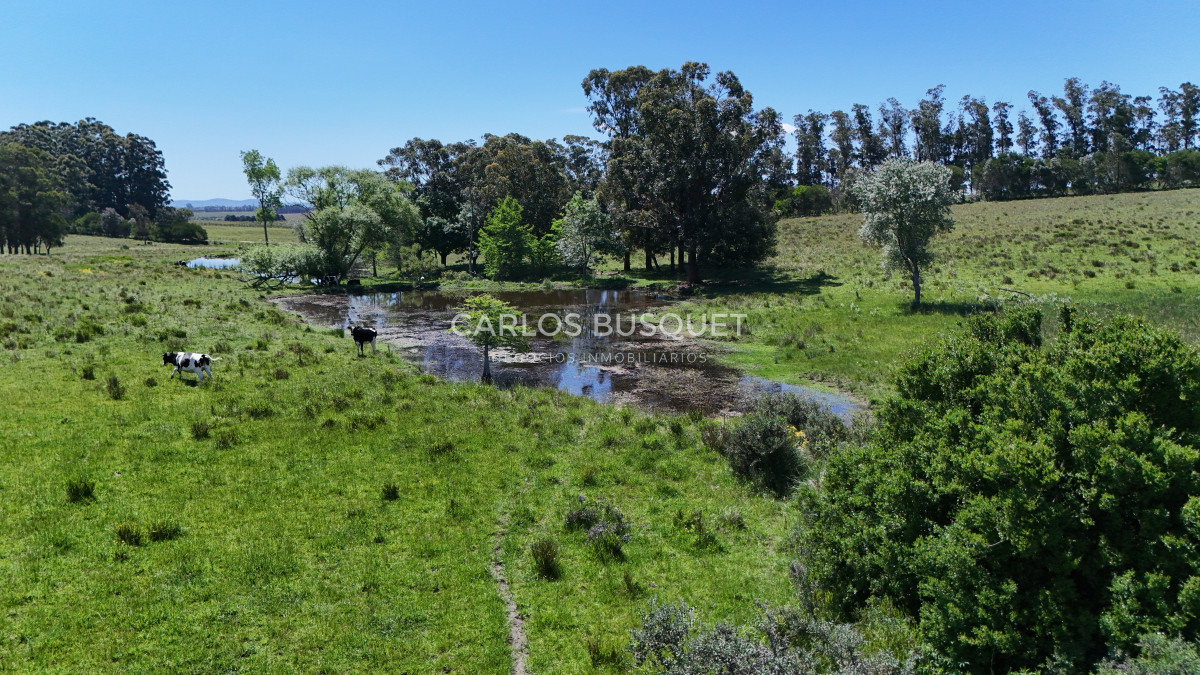 Campo Ref.311 - Campo en venta de 102 Hectáreas zona Ruta 104 
