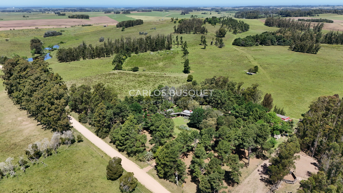 Campo Ref.311 - Campo en venta de 102 Hectáreas zona Ruta 104 