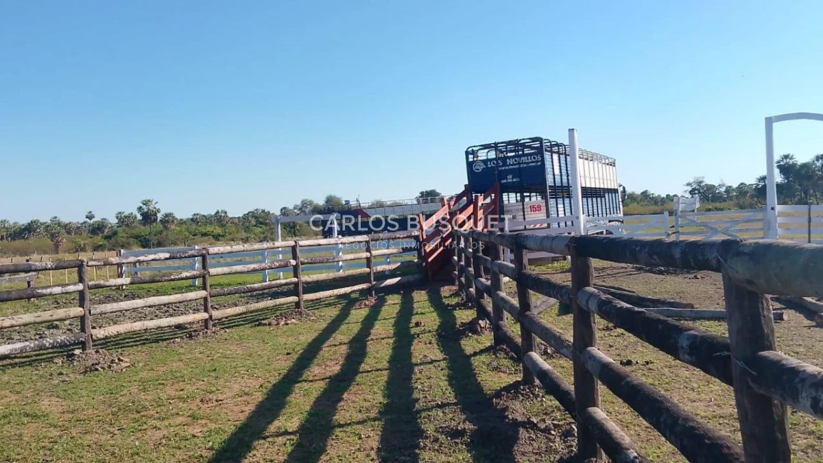 Campo Ref.1707 - Venta de 6.000 has. ganaderas en Formosa