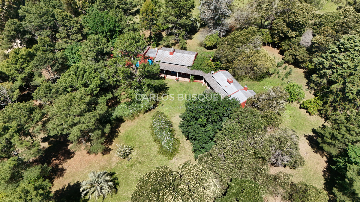 Campo Ref.311 - Campo en venta de 102 Hectáreas zona Ruta 104 