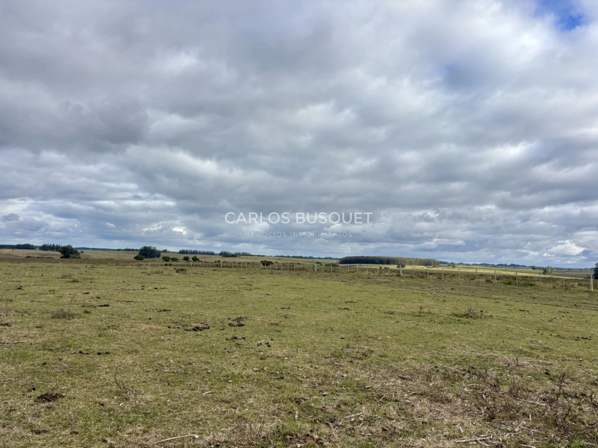 Campo Ref.1726 - Chacra de 30 has. en venta en José Ignacio - Ruta 9 