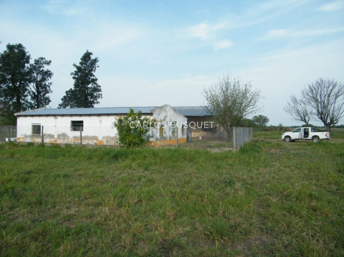 Campo Ref.1697 - Campo de 500 hectáreas en venta en Provincia de Formosa