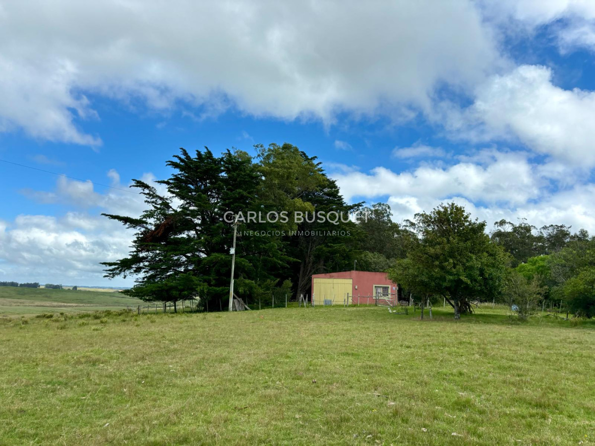 Campo Ref.536 - Campo en venta de 78 has.  en Camino Sainz Martinez, Jose Ignacio 