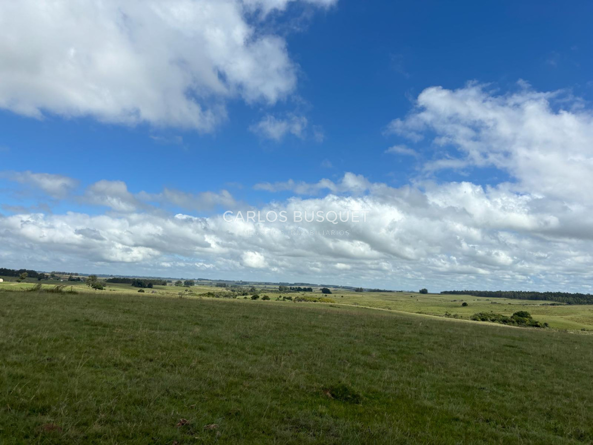 Campo Ref.536 - Campo en venta de 78 has.  en Camino Sainz Martinez, Jose Ignacio 