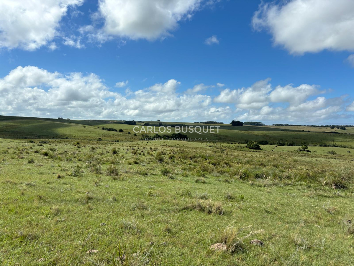Campo Ref.535 - Campo en venta de 40 has. en Camino Sainz Martinez, Grazon 
