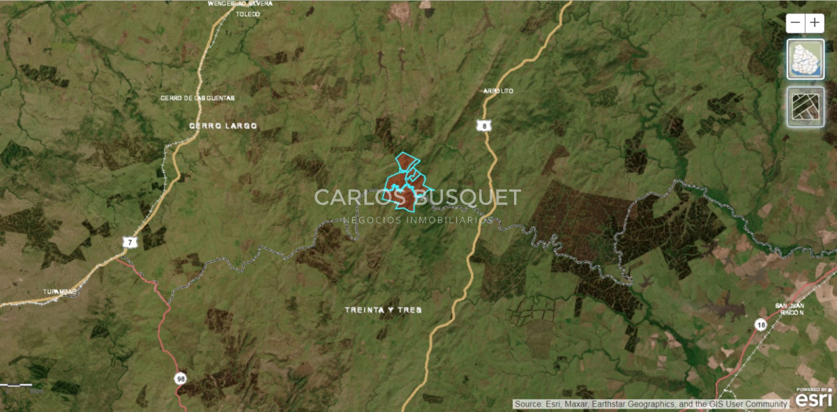 Campo Ref.314 - Campo en venta de 2145 has. en Treinta y Tres - Aptitud forestal- ganadero 
