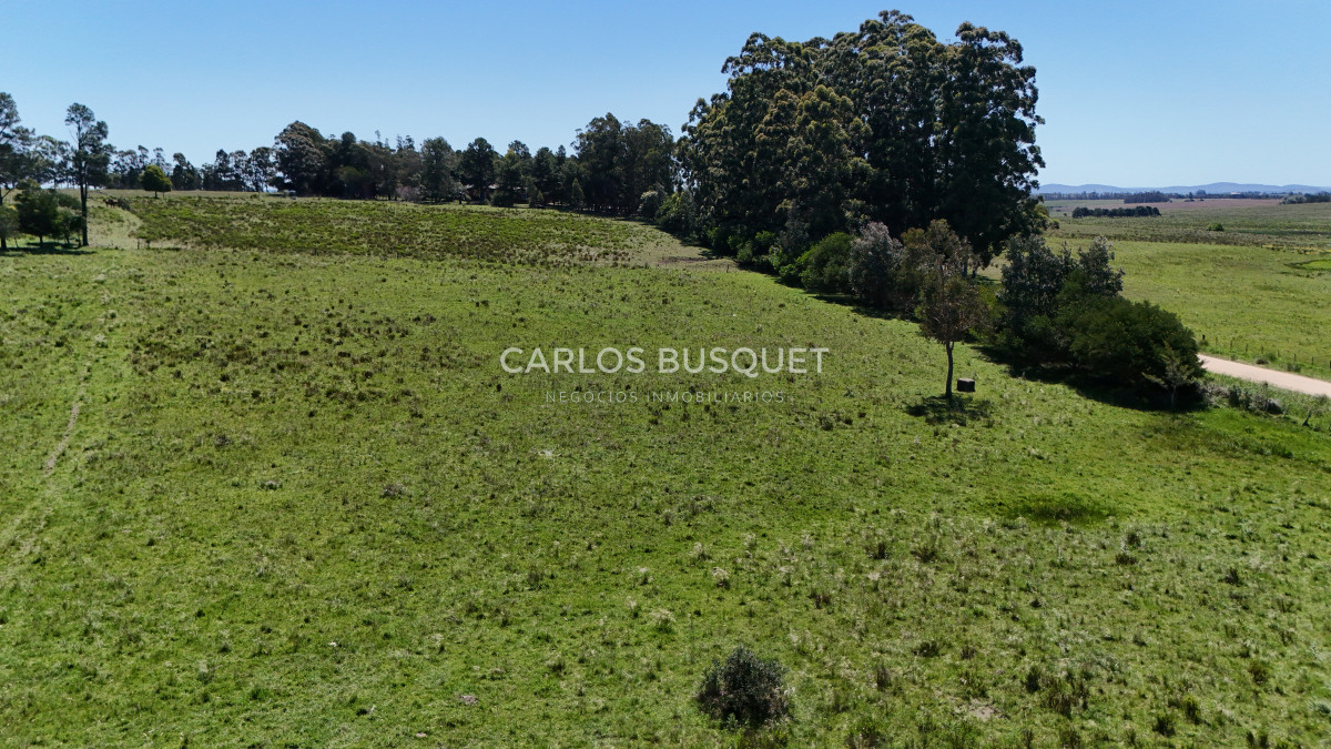 Campo Ref.311 - Campo en venta de 102 Hectáreas zona Ruta 104 