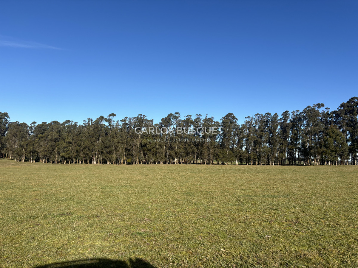 Campo Ref.1160 - Campo Agricola 140 has Garzon - Las garzas
