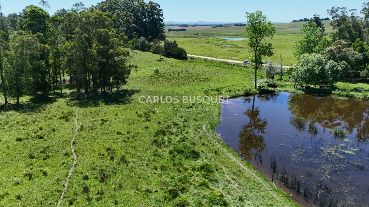 Campo Ref.311 - Campo en venta de 102 Hectáreas zona Ruta 104 