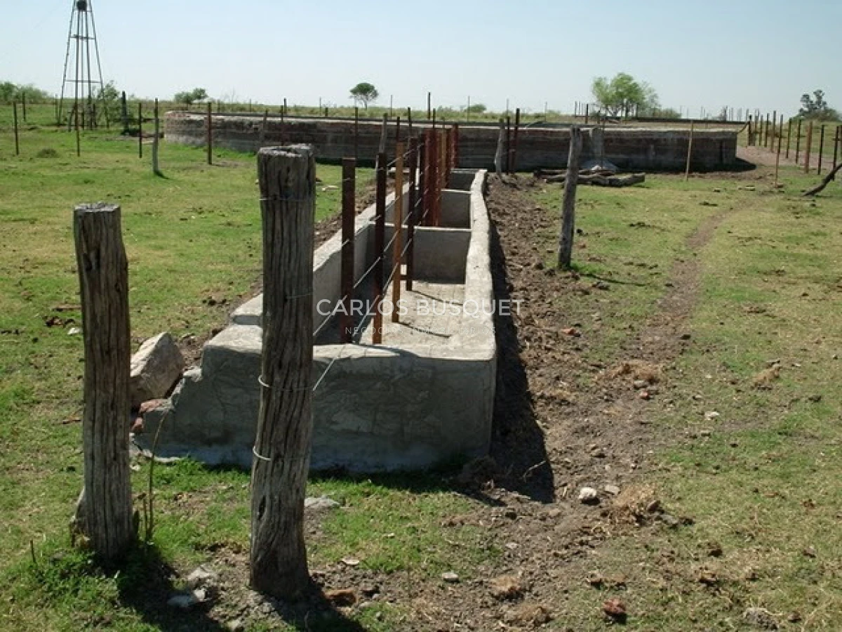 Campo Ref.1695 - Campo en venta de 20.600 has en Formosa 