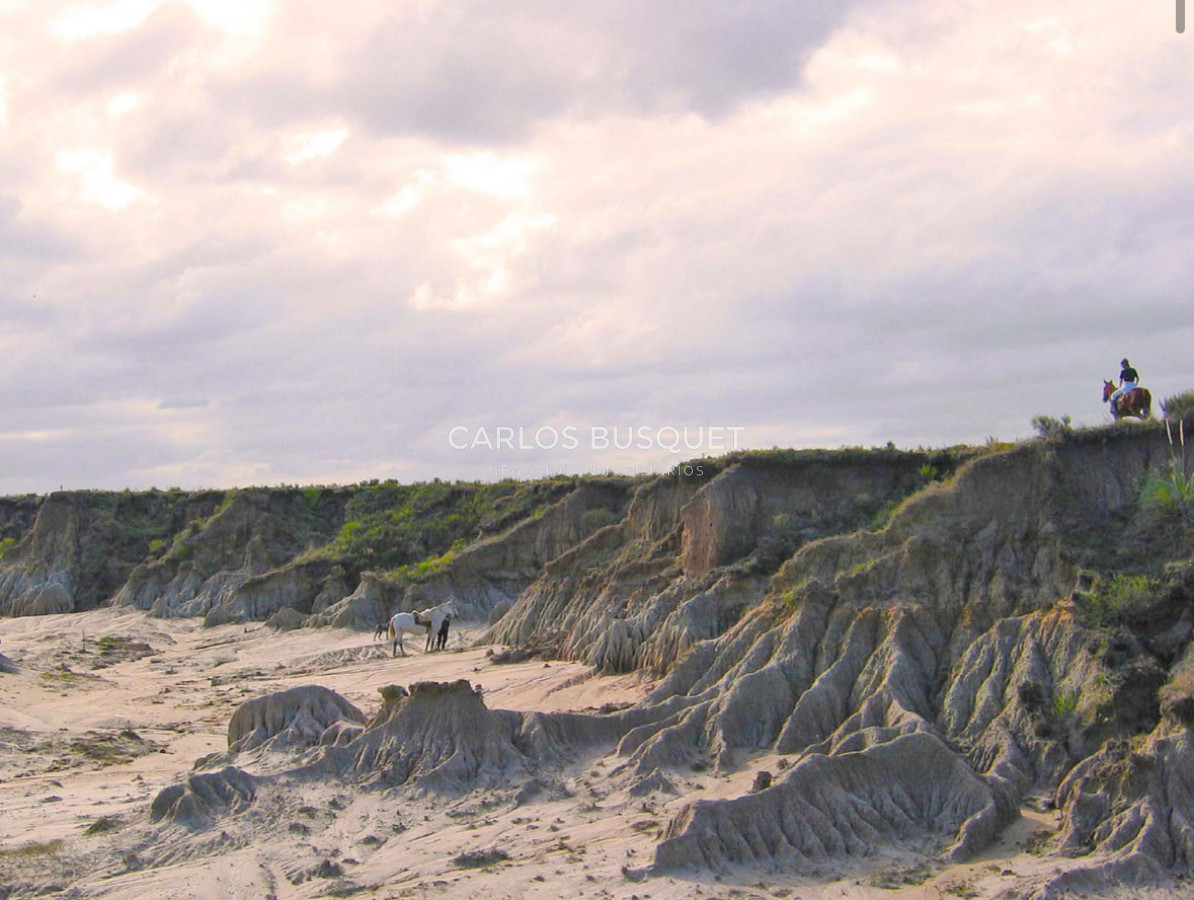 Campo Ref.1207 - CAMPO EN VENTA DE 232 HECTAREAS CON COSTA DE MAR EN ROCHA