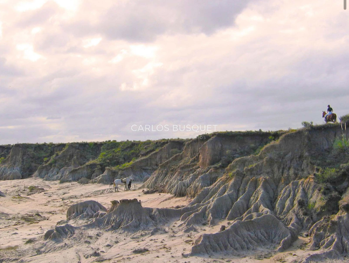 Campo Ref.1207 - CAMPO EN VENTA DE 232 HECTAREAS CON COSTA DE MAR EN ROCHA