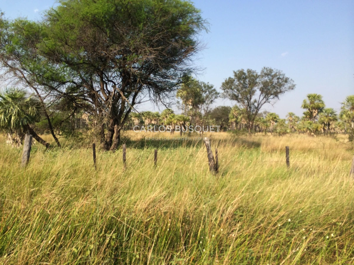 Campo Ref.1695 - Campo en venta de 20.600 has en Formosa 