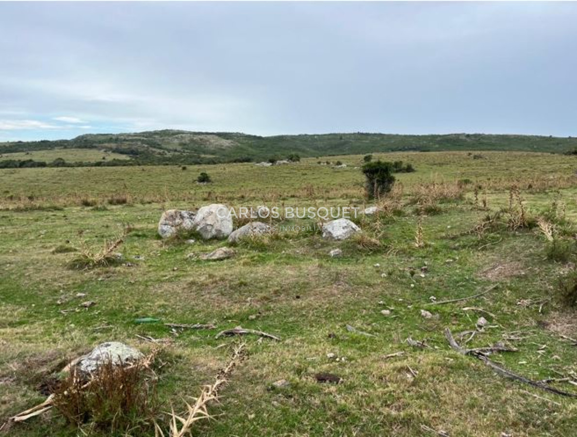 Campo Ref.1131 - Campo en venta 183 has. en Ruta 39