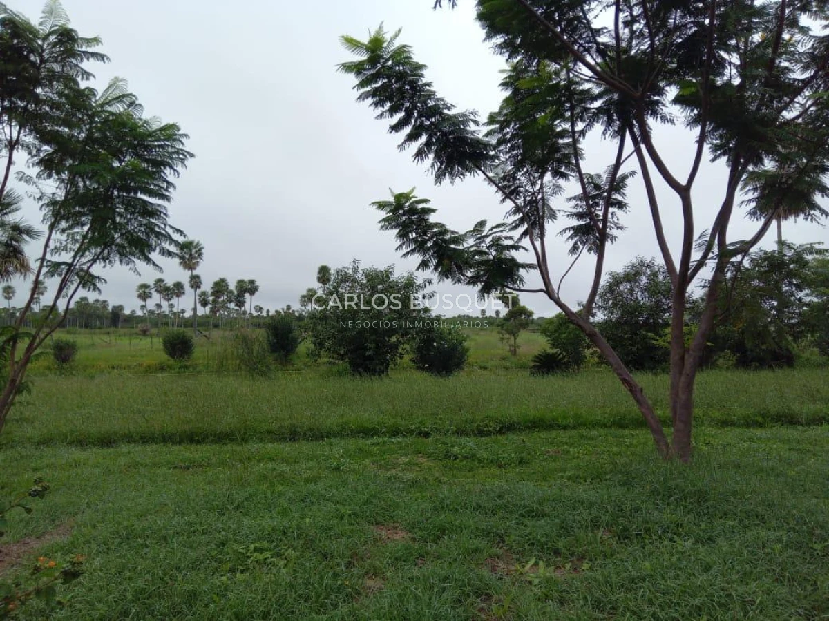 Campo Ref.1695 - Campo en venta de 20.600 has en Formosa 